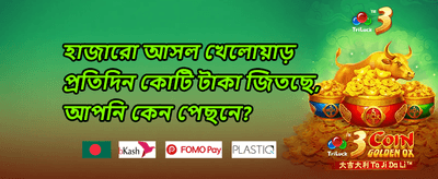 সাপ্তাহিক ভিআইপি ক্যাশব্যাক banner